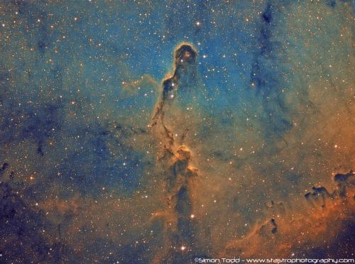 IC1396-Elephants-Trunk-Nebula-HSHO-Final-Signed
