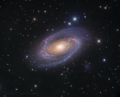 M81 HALRGB